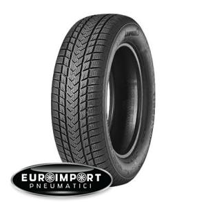 Gripmax Suregrip e winter 255/60 R20 113 V XL  TL